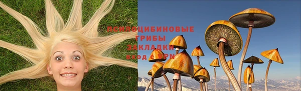 хмурый Кулебаки